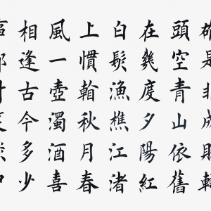 滾滾長(zhǎng)江東逝水書(shū)法作品欣賞