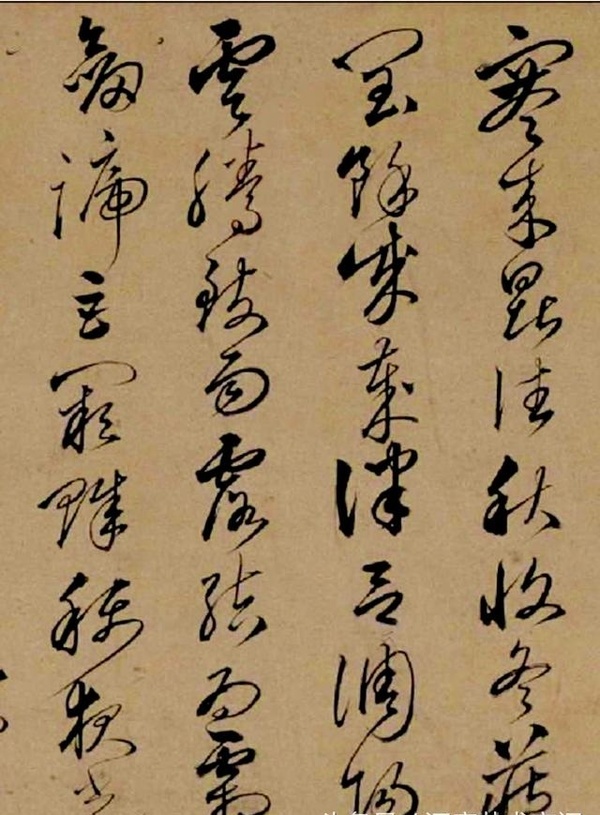 兄弟同揮墨，楷行互遒逸——沈粲書(shū)法《千字文》