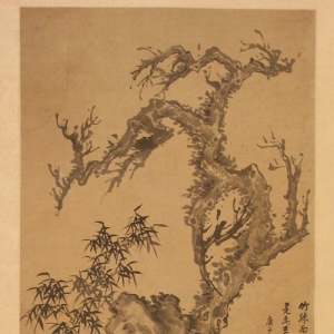 樹(shù)根瘤多少錢(qián)